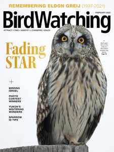 Birdwatching