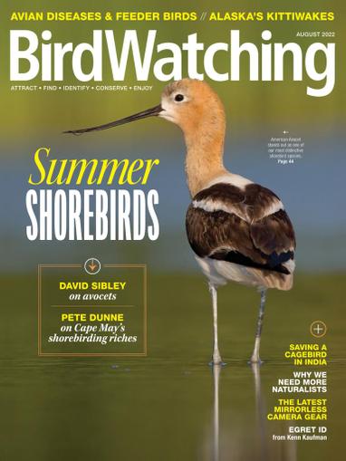 Birdwatching Magazine July 1st, 2022 Issue Cover