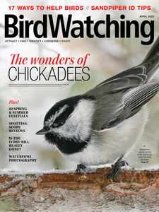 Birdwatching