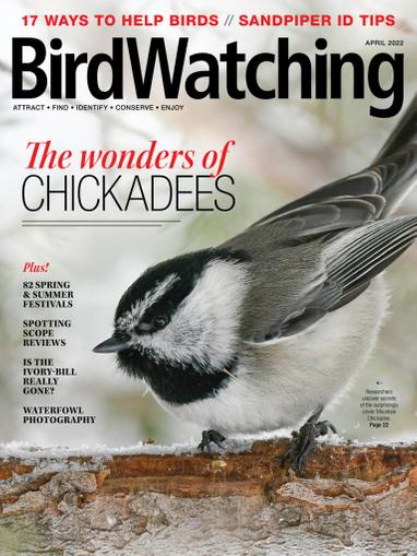 Birdwatching Magazine March 1st, 2022 Issue Cover