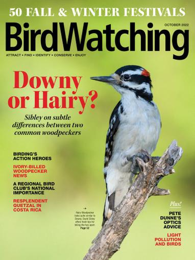 Birdwatching Magazine September 1st, 2022 Issue Cover