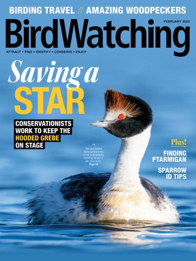 Birdwatching Magazine January 1st, 2023 Issue Cover