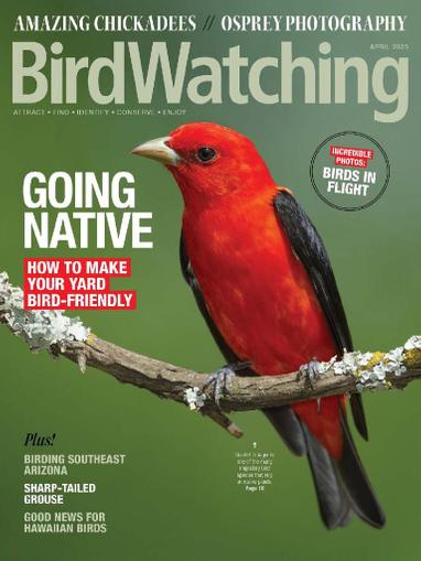 Birdwatching Magazine March 1st, 2023 Issue Cover