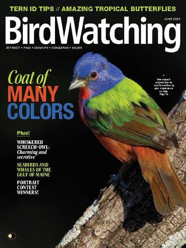 Birdwatching Magazine May 1st, 2023 Issue Cover