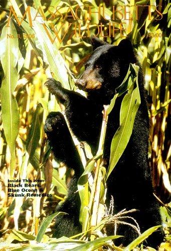 Massachusetts Wildlife Magazine Subscription