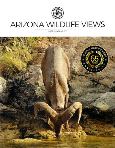 Arizona Wildlife Views Magazine Cover