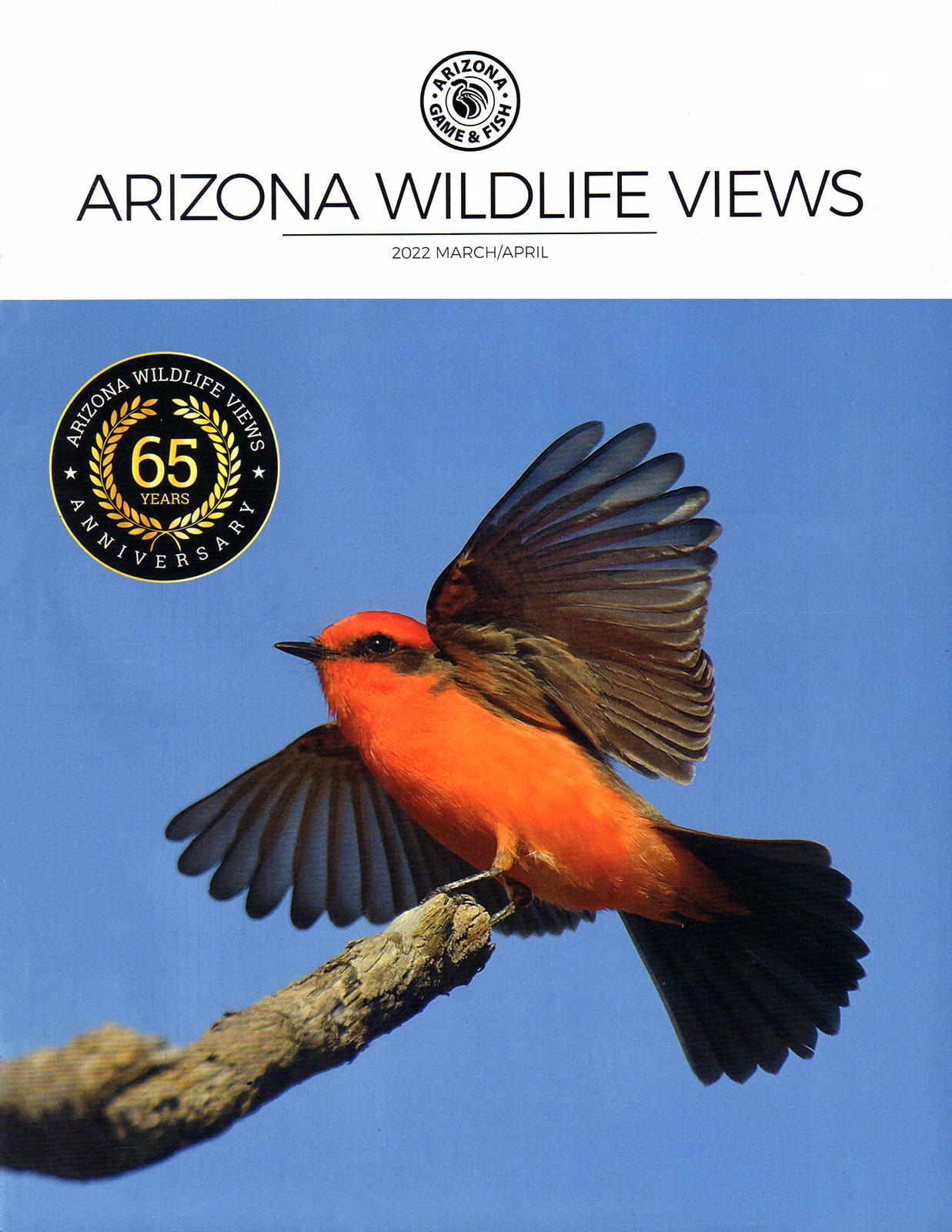 Arizona Wildlife Views Magazine Cover