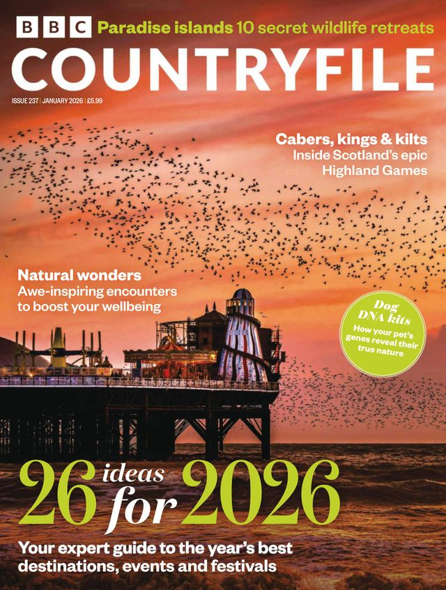 Bbc Countryfile Magazine Cover