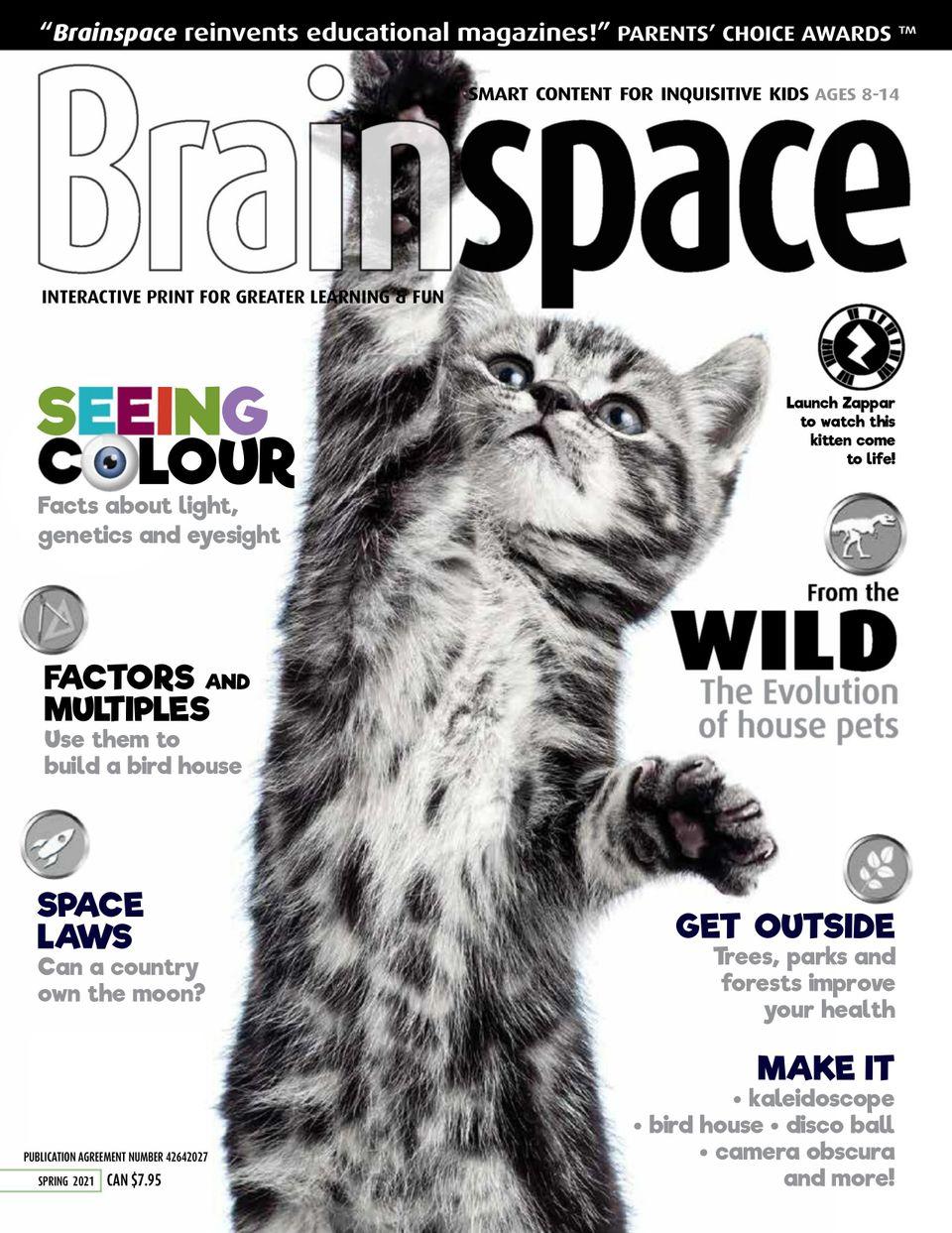 Brainspace Magazine Cover