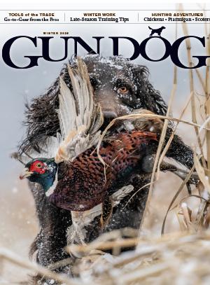 Gun Dog Magazine Cover