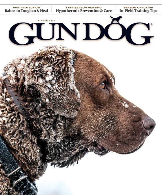 Gun Dog Magazine Cover