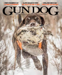 Gun Dog Magazine Cover