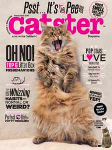 Catster