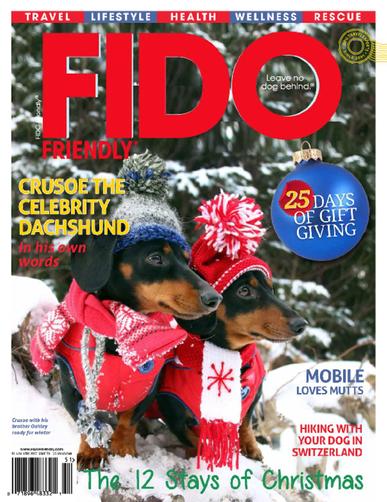 Fido Friendly Magazine November 1st, 2017 Issue Cover