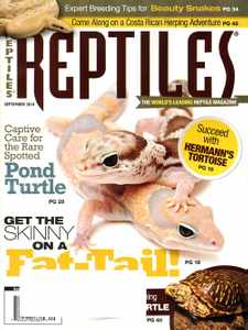 Reptiles