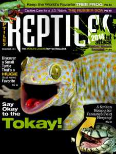 Reptiles