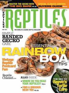 Reptiles