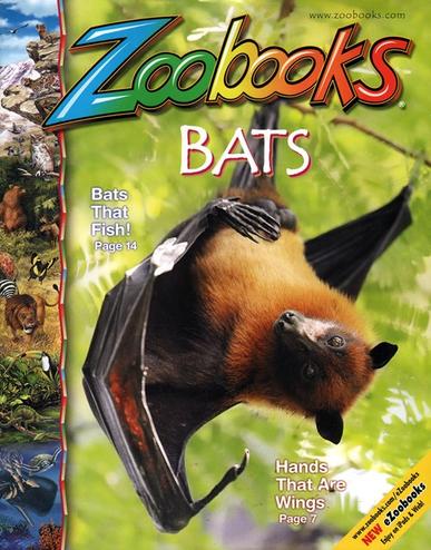 Zoobooks Magazine Cover