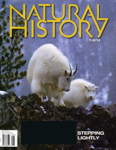 Natural History Magazine Cover