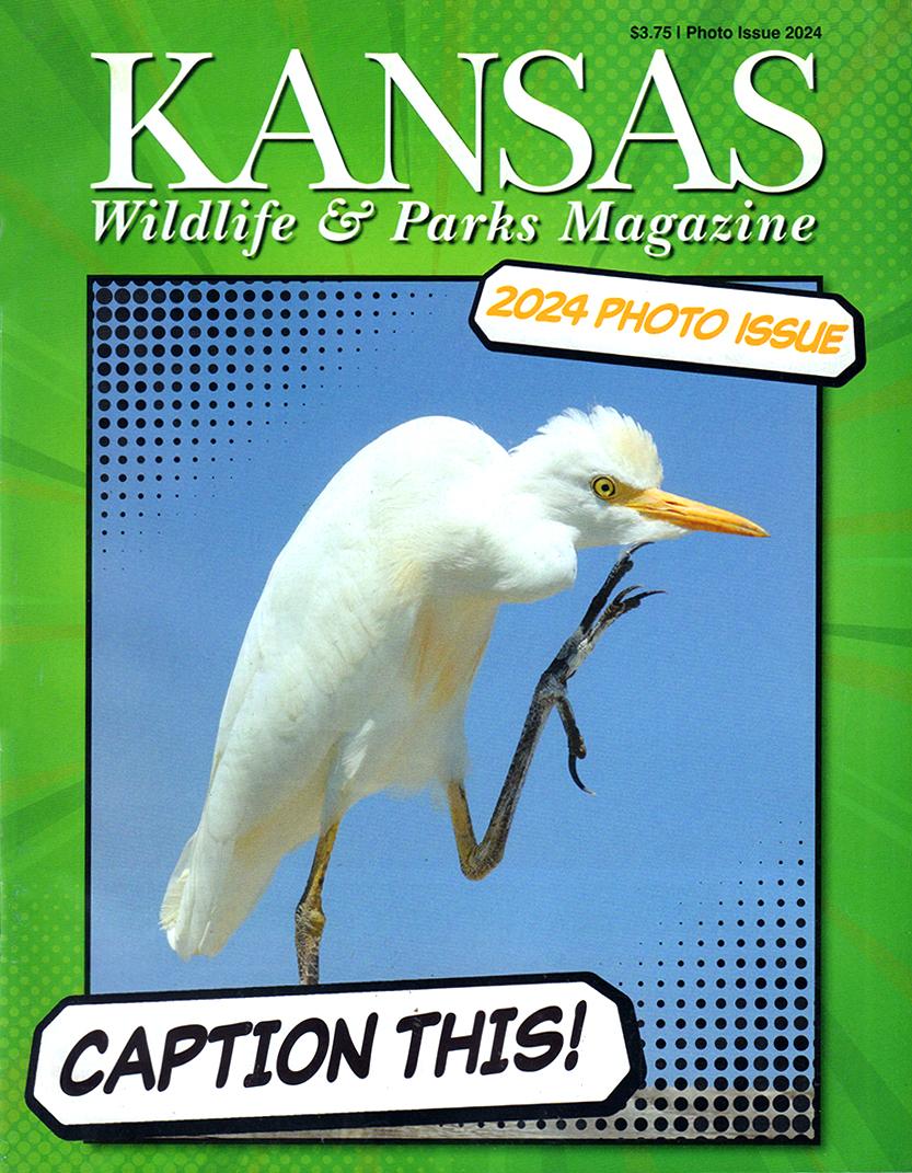 Kansas Wildlife & Parks Magazine Cover