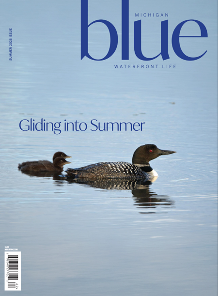 Michigan Blue Magazine Cover